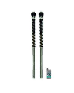 Kit fourche TRIUMPH Tiger 800 Sport (LN20) 2025 MATRIS F20T153K Avant