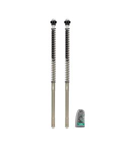 Kit fourche TRIUMPH Tiger 800 Sport (LN20) 2025 MATRIS F25T153RX Avant