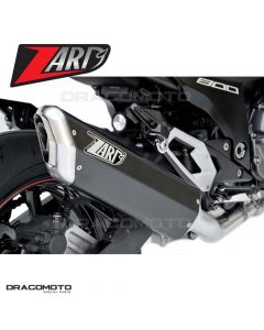 KAWASAKI Z 800 E 2012-2016 Exhaust ZARD PENTA RC ZKAW176APR